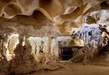 Naracoorte Caves, South Australia's Limestone Coast.