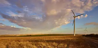 Yandin Windfarm, Dandaragan, WA.