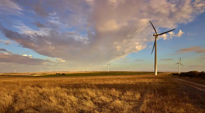 Yandin Windfarm, Dandaragan, WA.